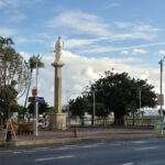 Programa Corredor Verde: Pituba.net ouve especialistas sobre desafios ambientais