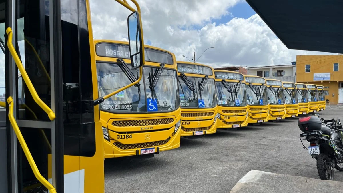 frota de ônibus amarelos parada num pátio