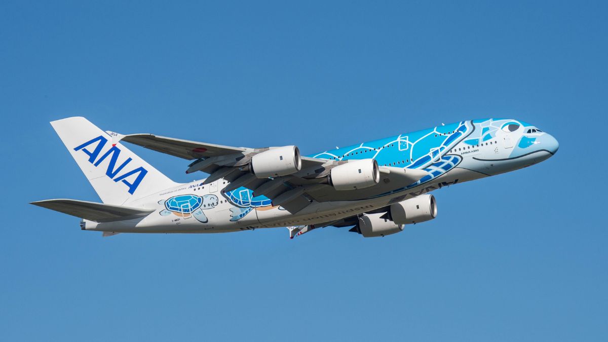 Airbus A380 no céu com pintura de tartaruga